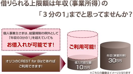 借りられる上限額は年収(事業所得)の「3分の1」までと思ってませんか? オリコのCREST for Bizであればご利用できます!