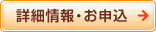 �ڍ׏��E���\��