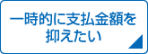 �ꎞ�I�Ɏx�����z��}������