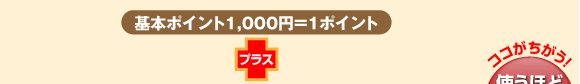 ��{�|�C���g1000�~��1�|�C���g