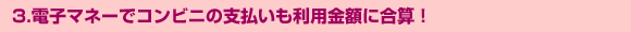 �d�q�}�l�[�ŃR���r�j�̎x���������p���z�ɍ��Z�I