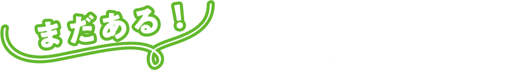 まだある！おすすめスポット