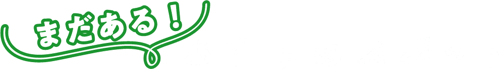 まだある！おすすめスポット