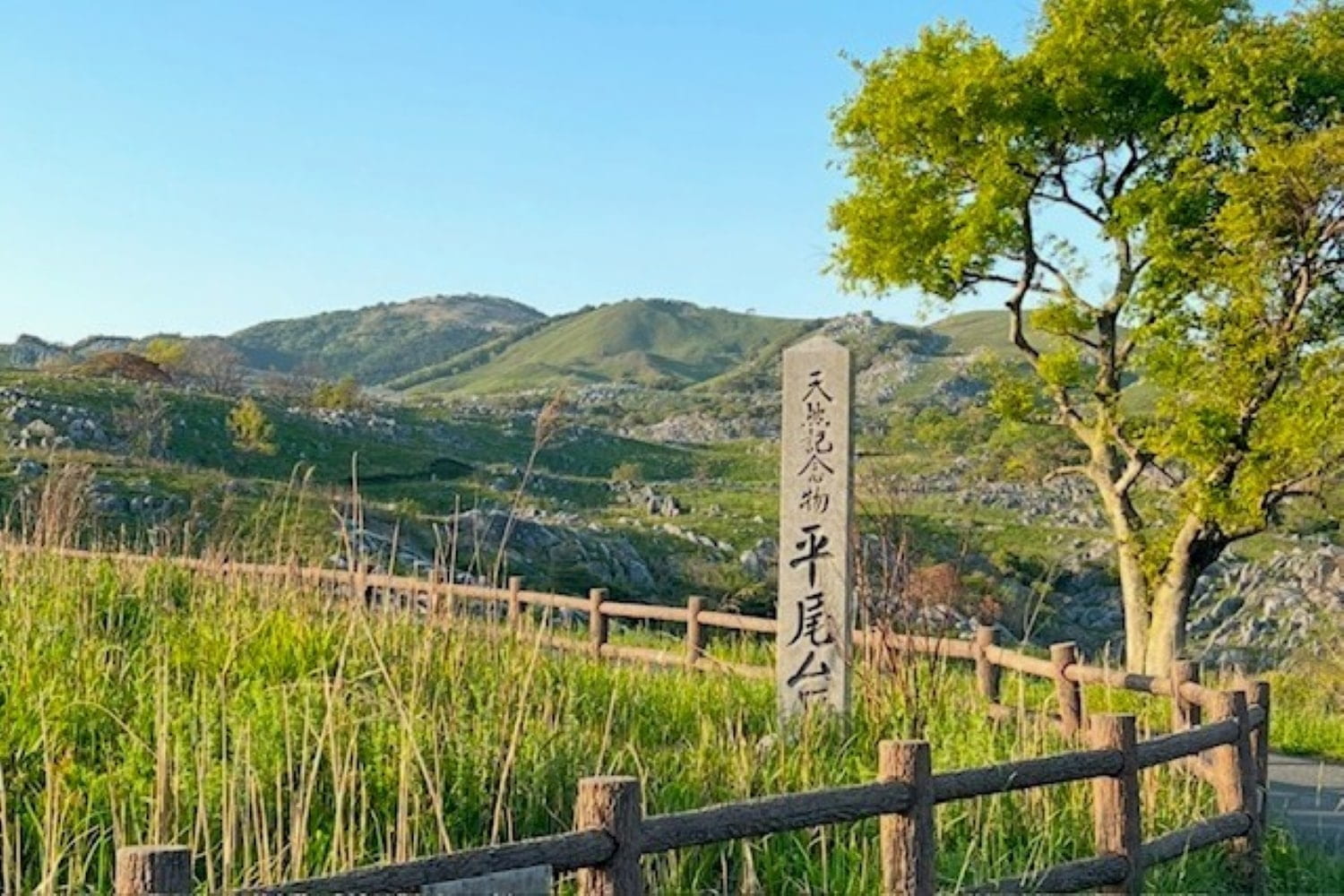 歴史と自然、味覚を堪能する周遊旅