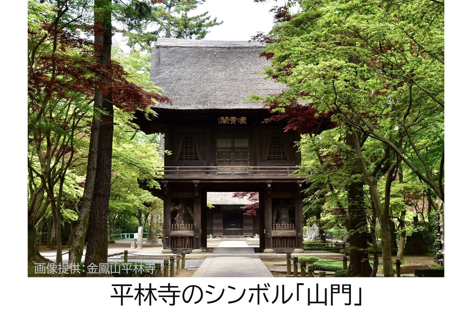 平林寺