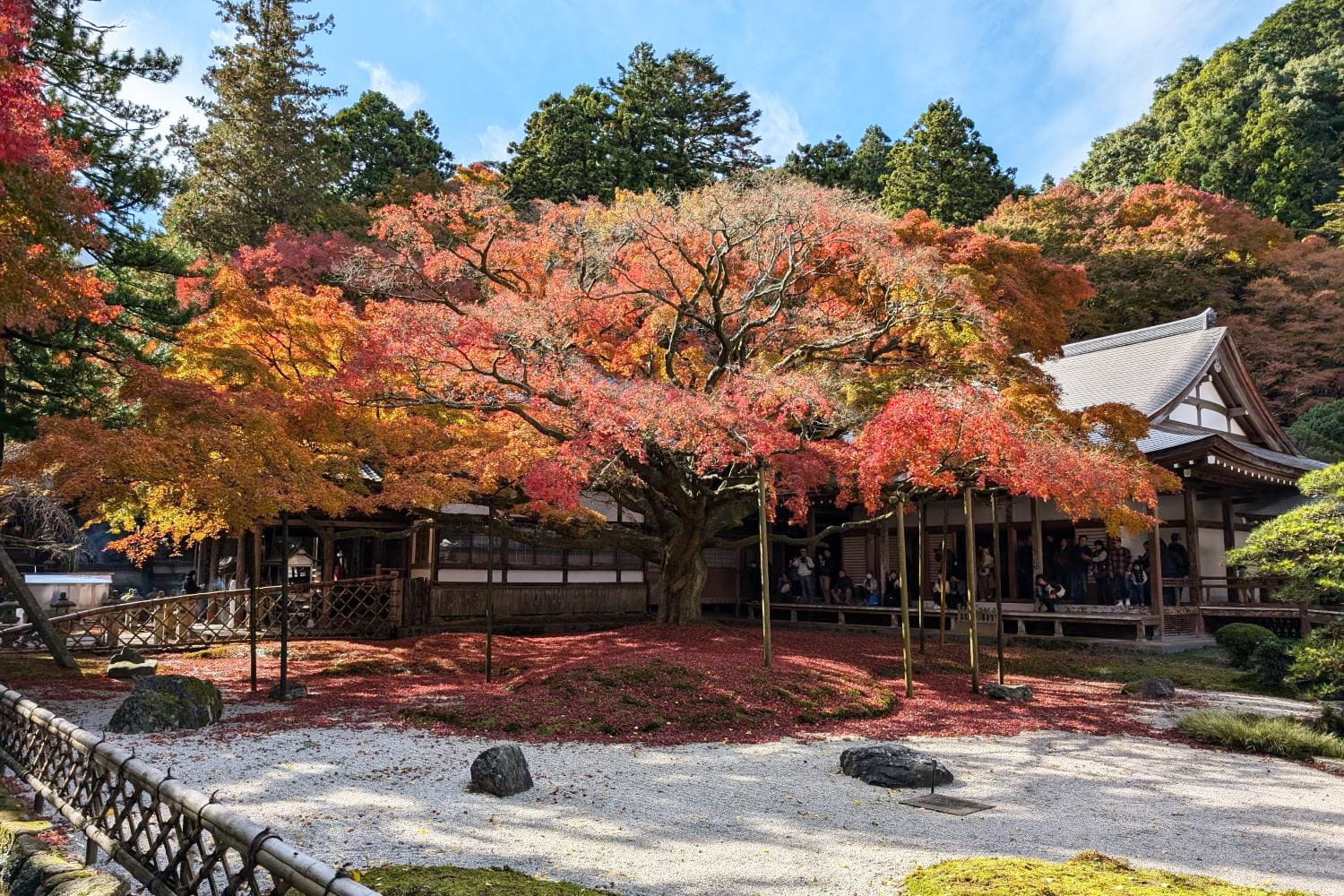 雷山千如寺 大悲王院