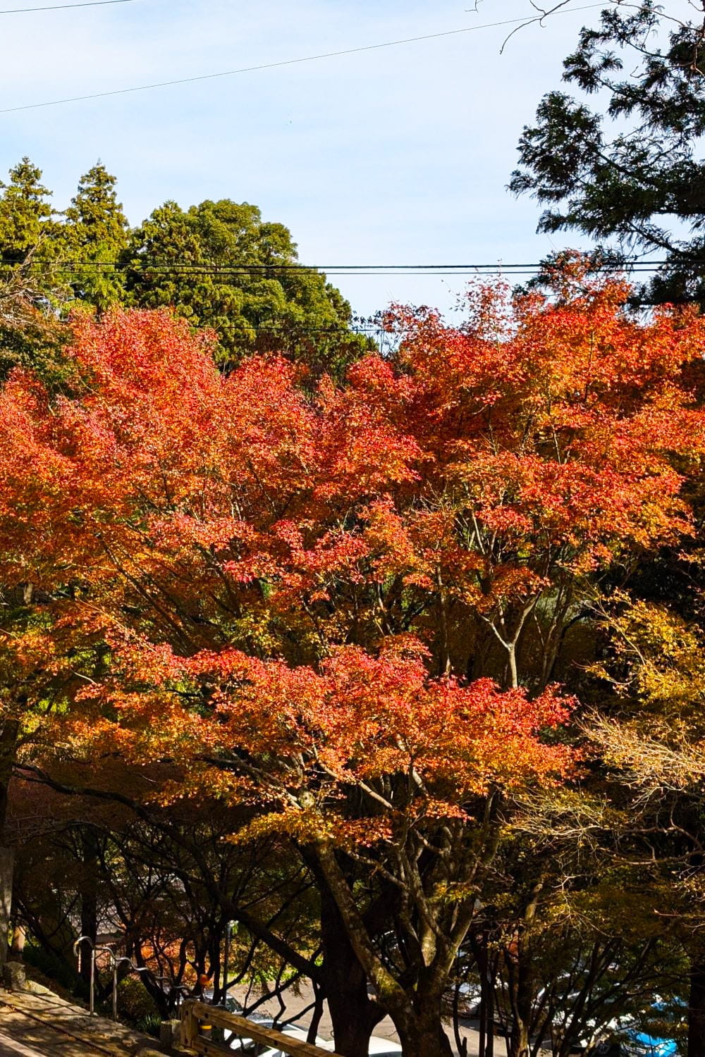 雷山千如寺 大悲王院