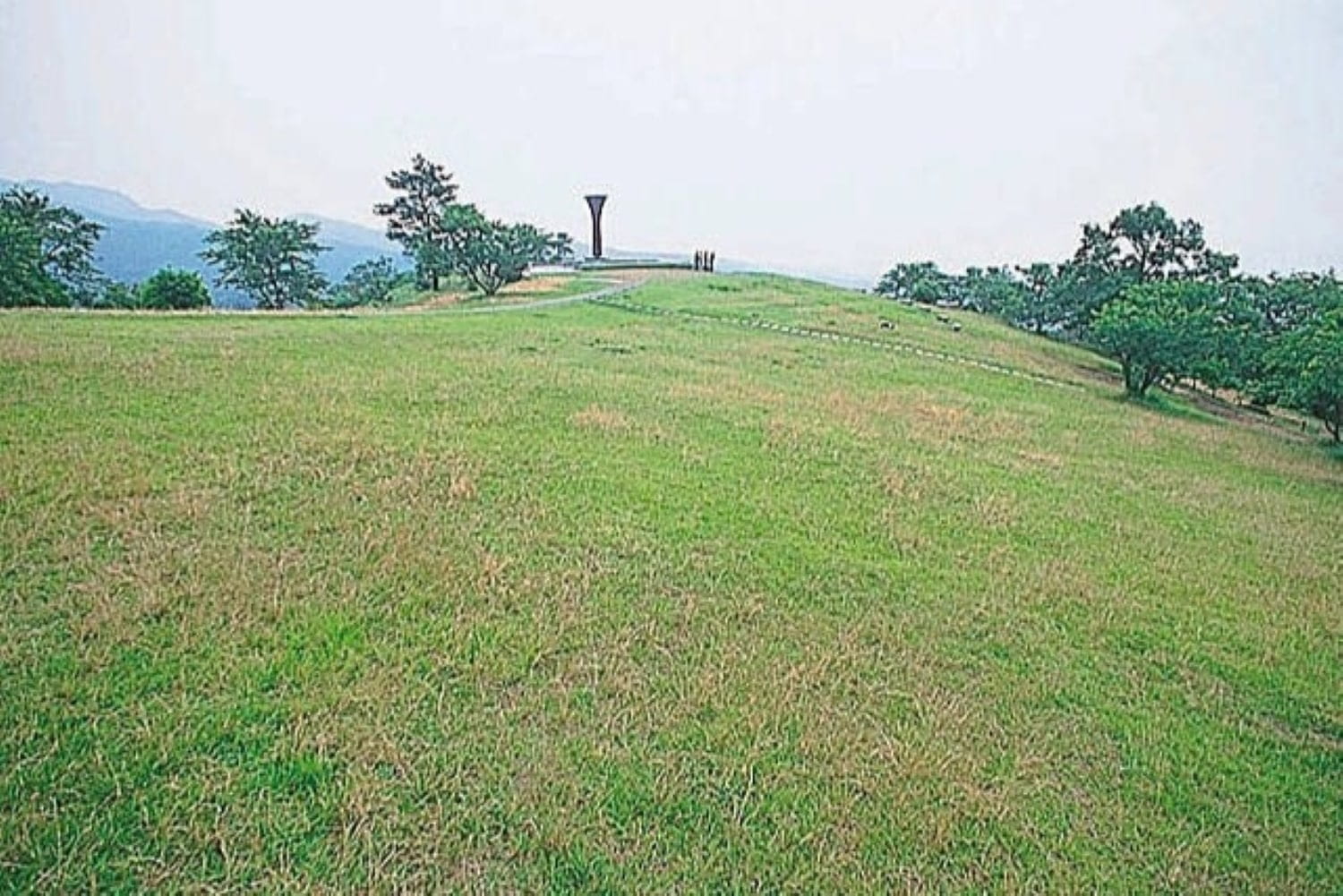 白木峰高原