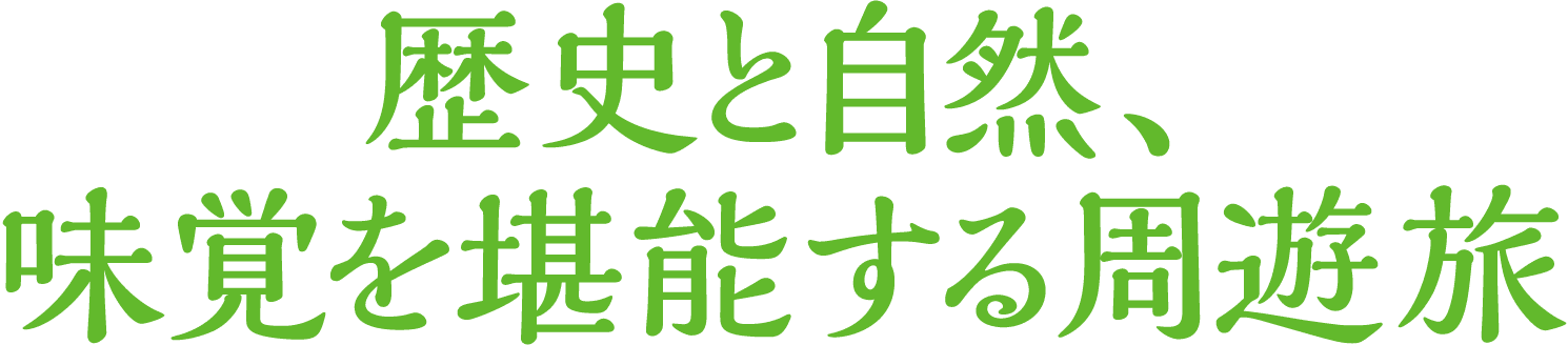 海風感じる！沖縄の歴史とグルメの旅