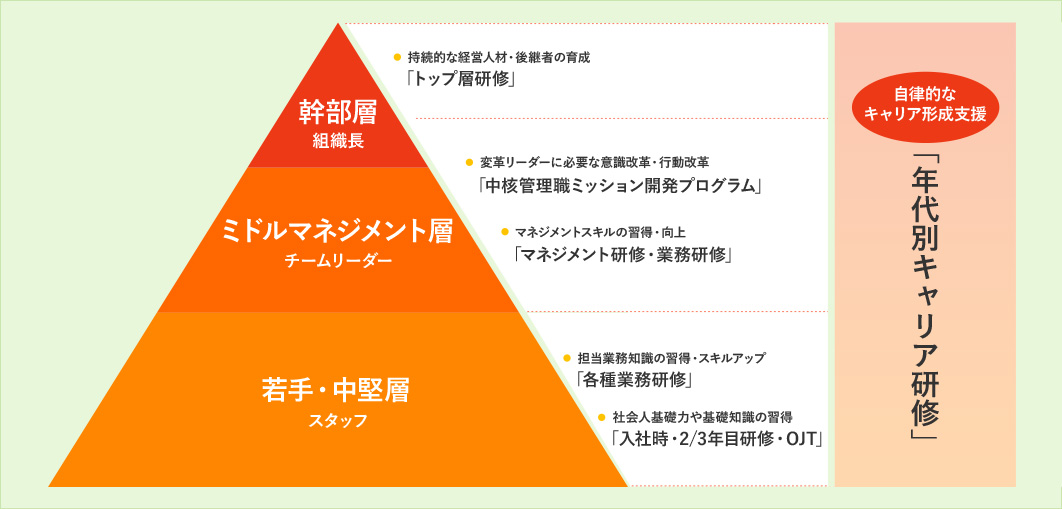 幹部層 組織長 持続的な経営人材・後続者の育成「トップ層研修」 ミドルマネジメント層 チームリーダー 変革リーダーに必要な意識改革・行動改革「中核管理職ミッション開発プログラム」 マネジメントスキルの習得・向上「マネジメント研修・業務研修」 若手・中堅層 スタッフ 担当業務知識の習得・スキルアップ「各種業務研修」 社会人基礎力や基本知識の習得「入社時・2/3年目研修・OJT」 自律的なキャリア形成支援「年代別キャリア研修」