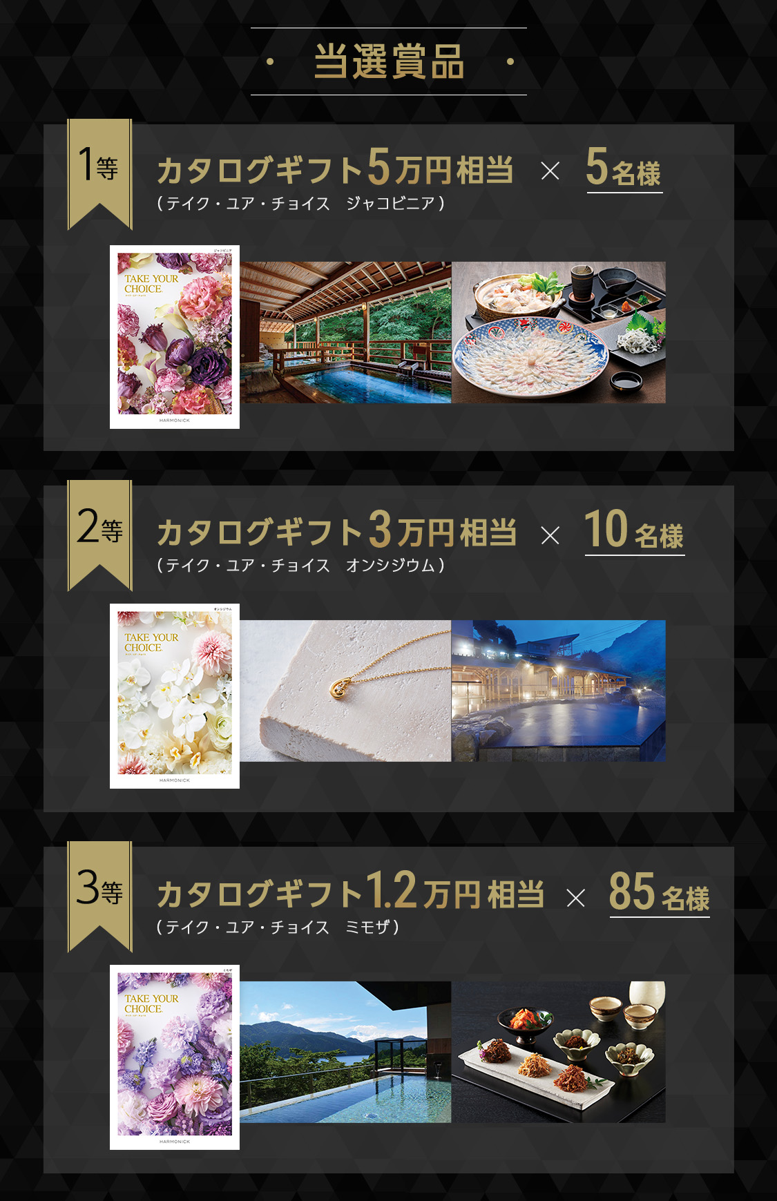 当選賞品 1等：カタログギフト5万円相当（テイク・ユア・チョイス　ジャコビニア）×5名様 2等：カタログギフト3万円相当（テイク・ユア・チョイス　オンシジウム）×10名様 3等：カタログギフト1.2万円相当（テイク・ユア・チョイス　ミモザ）×85名様