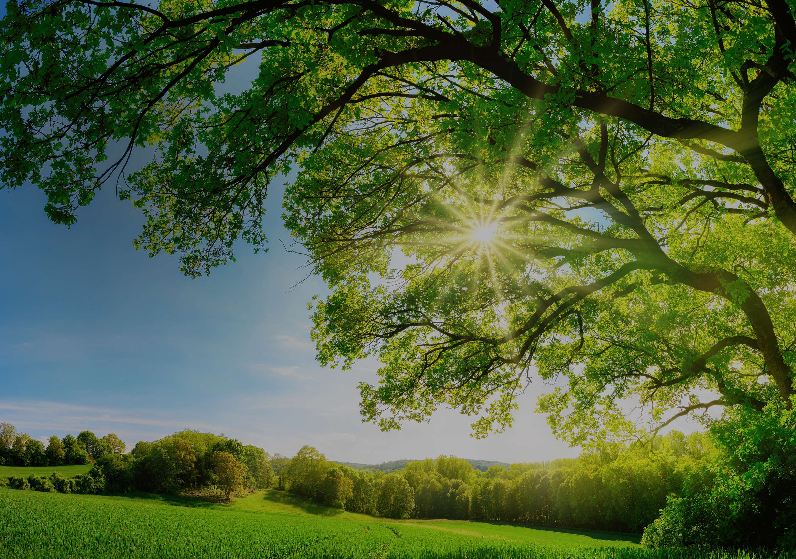 Sustainability