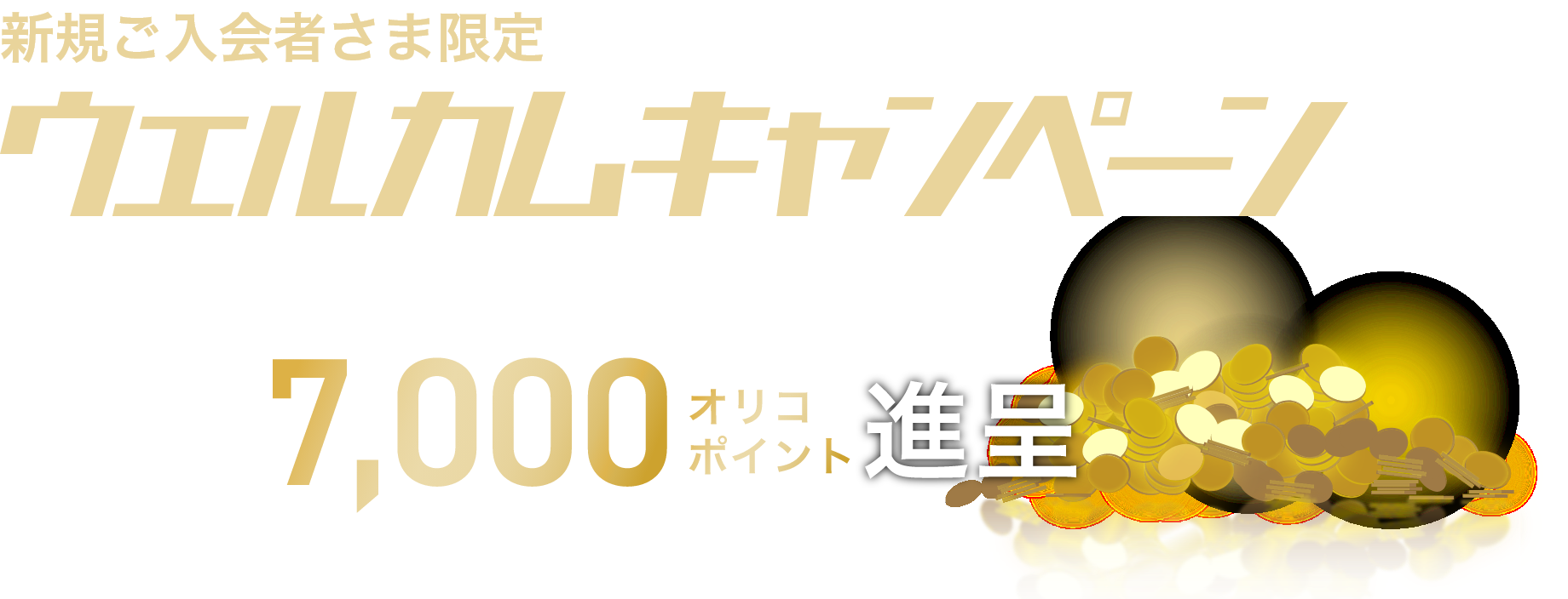 Kawasaki/KAZE/Oricoカード ポイントシミュレーション