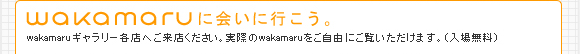 wakamaruに会いに行こう。wakamaruギャラリー各店へご来店ください。実際のwakamaruをご自由にご覧いただけます。(入場無料)