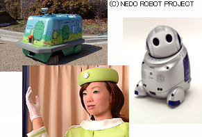 (C) NEDO ROBOT PROJECT