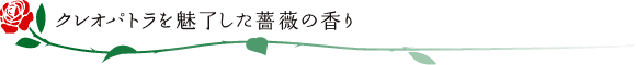 クレオパトラを魅了した薔薇の香り