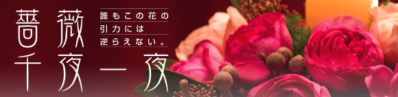 薔薇千夜一夜 誰もこの花の引力には逆らえない。