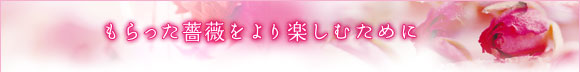 もらった薔薇をより楽しむために