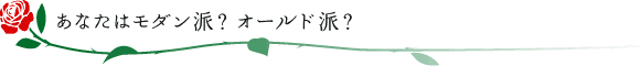 あなたはモダン派?オールド派?