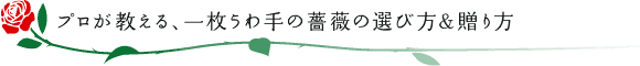 プロが教える、一枚うわ手の薔薇の選び方&贈り方